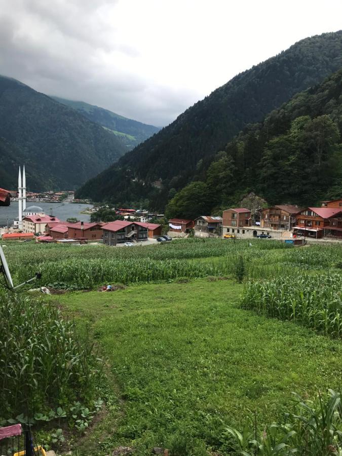 Karenes Kuzey Pansiyon Caykara Exterior foto